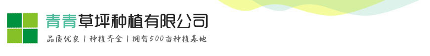 尊龙新版人生就是博,尊龙平台人生就是博官网下载